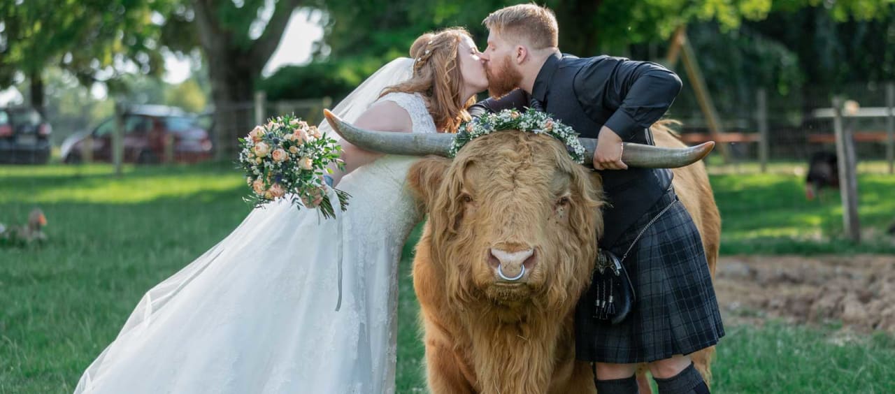 Sonstiges Der Sonnenhof-Erlebnisbauernhof