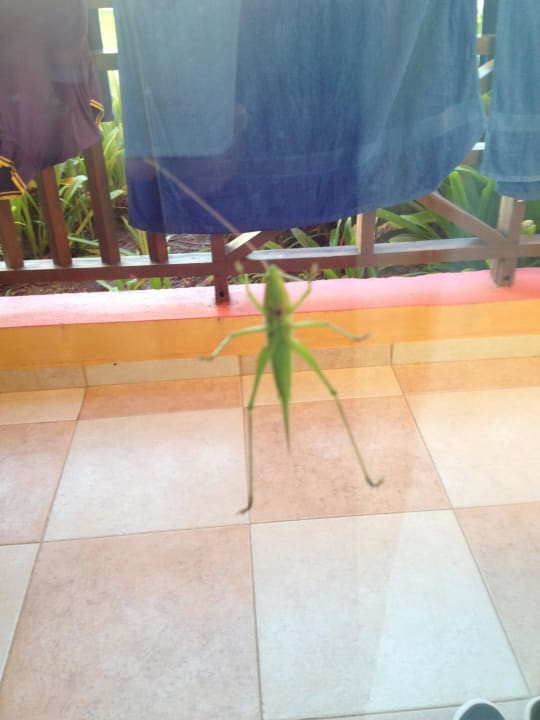 Das ist Fred Punta Cana Princess All Suites Resort & Spa