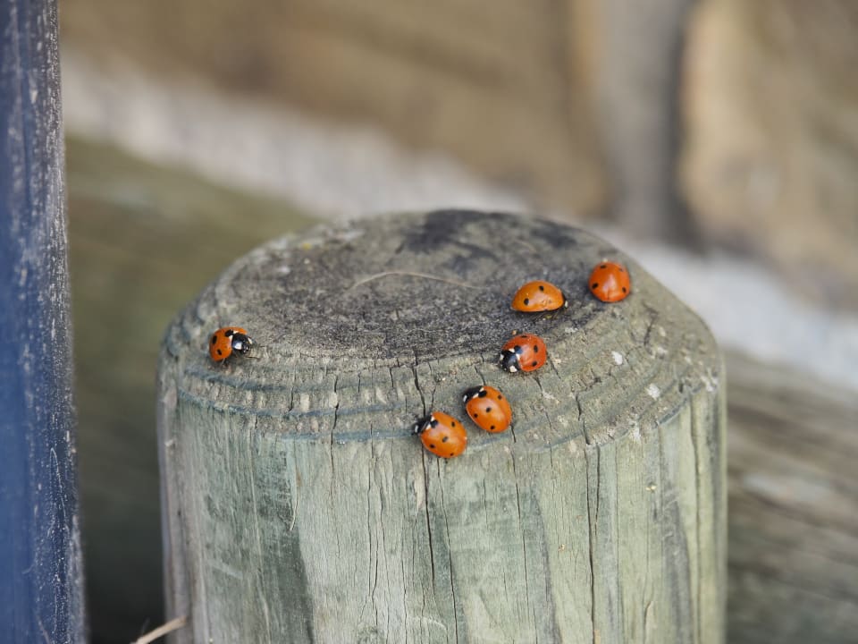 Sonstiges Hotel Playa de la Luz