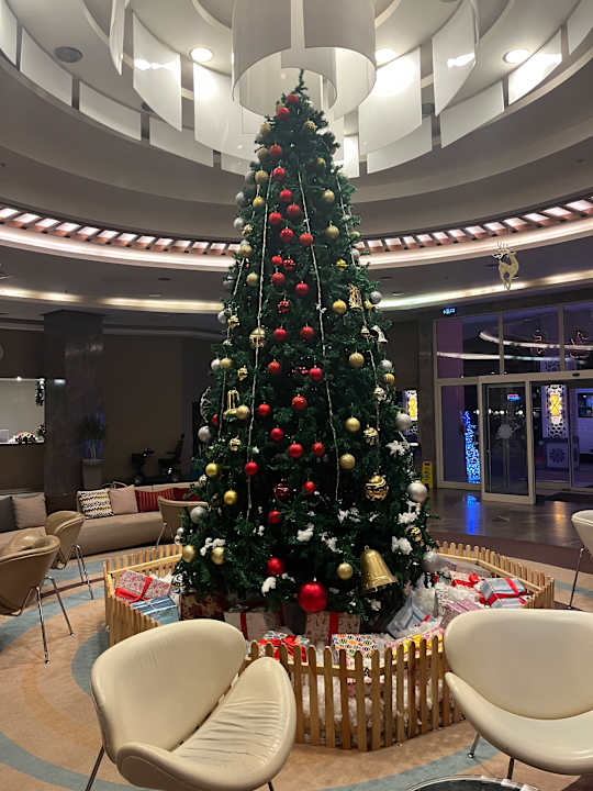 Lobby Paloma Oceana