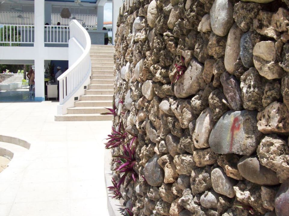 Lila Pflanze am Strand Couples Tower Isle - Adults only