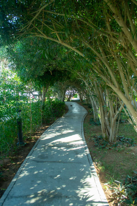 Gartenanlage Fujairah Rotana Resort & Spa