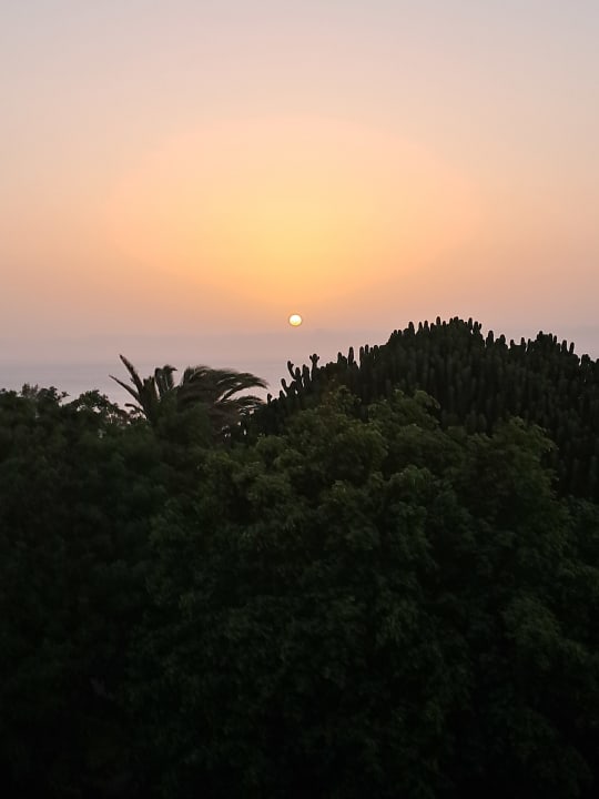 Ausblick allsun App.-Hotel Esquinzo Beach