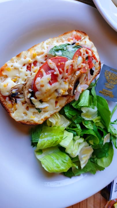 Gastro Paloma Oceana