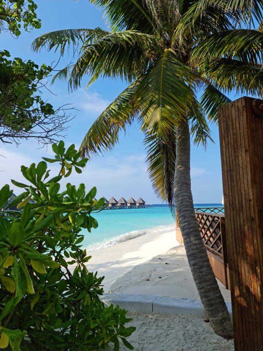 Strand Thulhagiri Island Resort