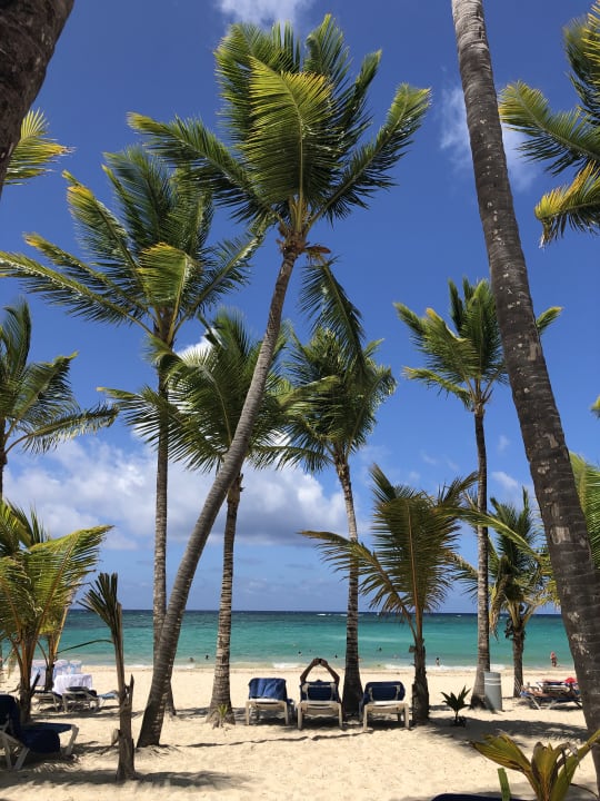 Strand Hotel Riu Palace Punta Cana