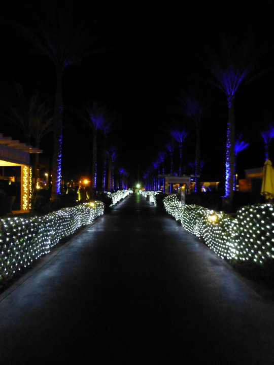 Gartenanlage Rixos Sharm El Sheikh Adults Only 18 +