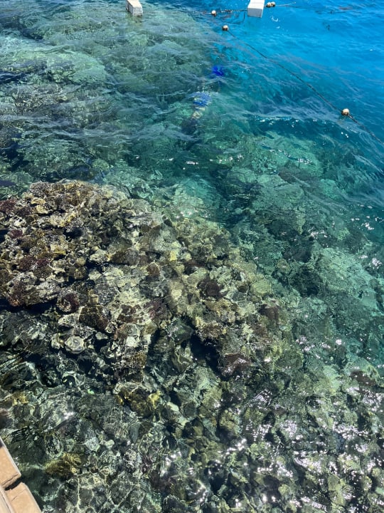 Strand Makadi Spa - Adults only