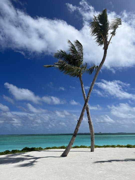 Strand TUI BLUE Olhuveli Romance