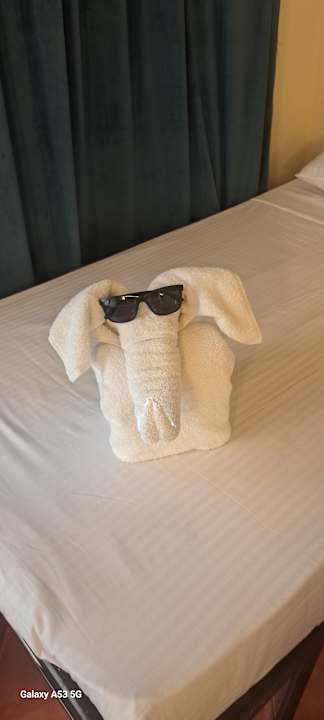 Zimmer Three Corners Sea Beach Resort