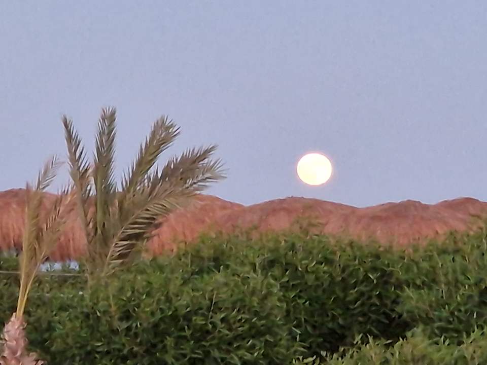 Ausblick Club Paradisio El Gouna, Red Sea