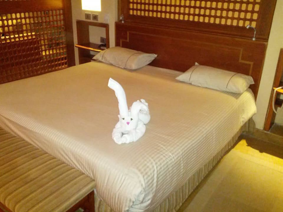 Empfang auf dem Zimmer Grand Waterworld Makadi & Family Star Makadi