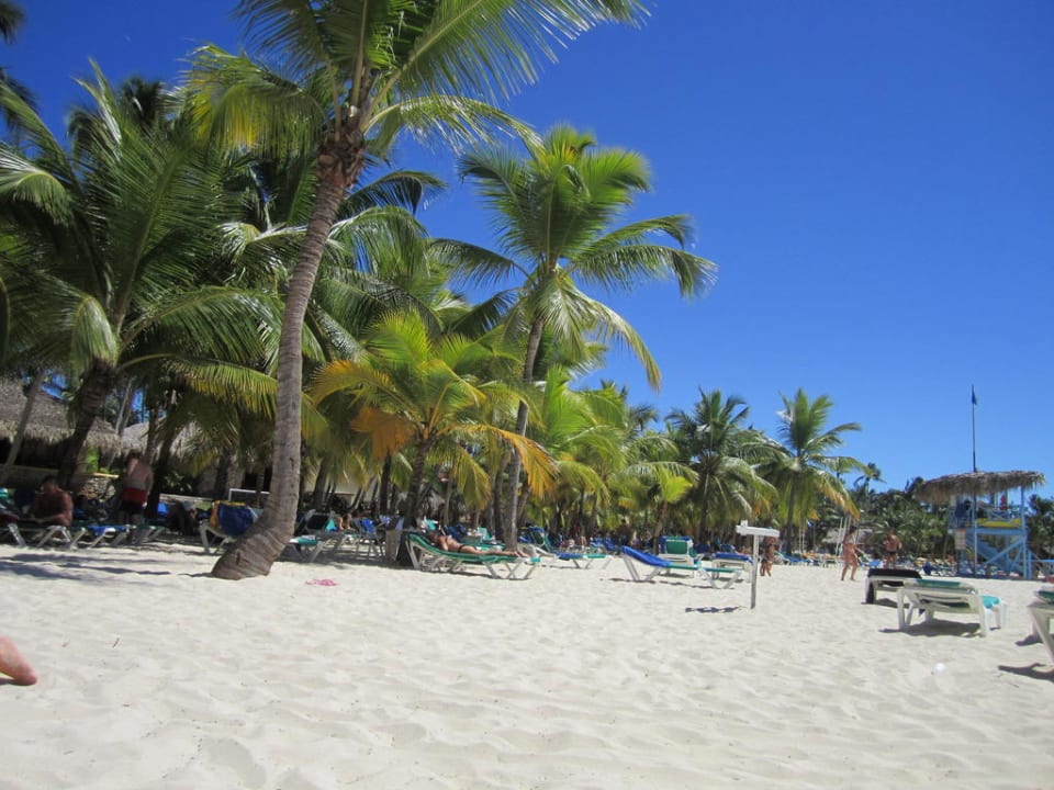 Im Beach Hotel Viva Dominicus Palace by Wyndham-All Inclusive Resort