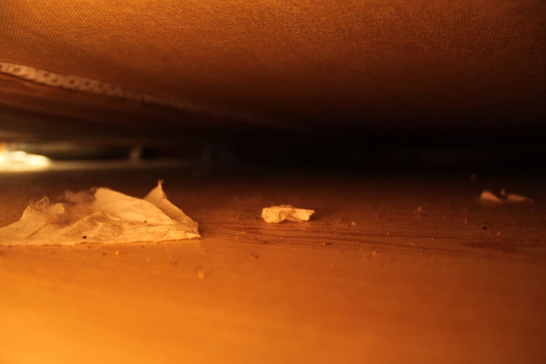 Bett Maya World Park Hotel