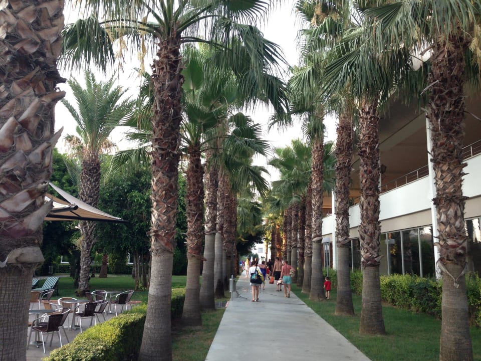 Garten Hotel Royal Garden Beach