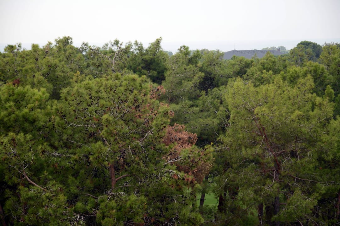 Titanic Deluxe Belek Titanic Deluxe Golf Belek