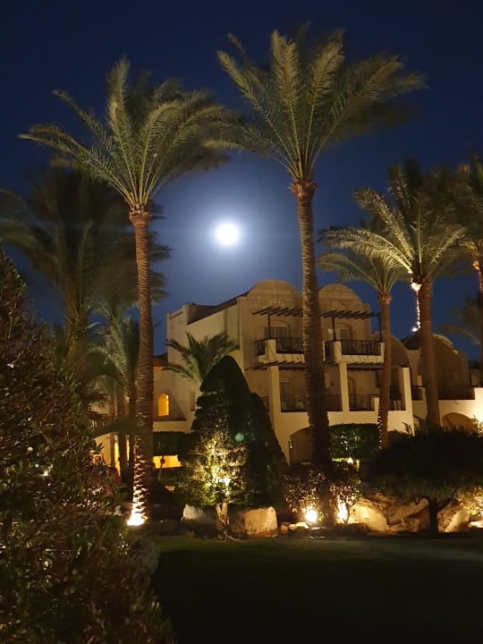 Gartenanlage Jaz Makadina