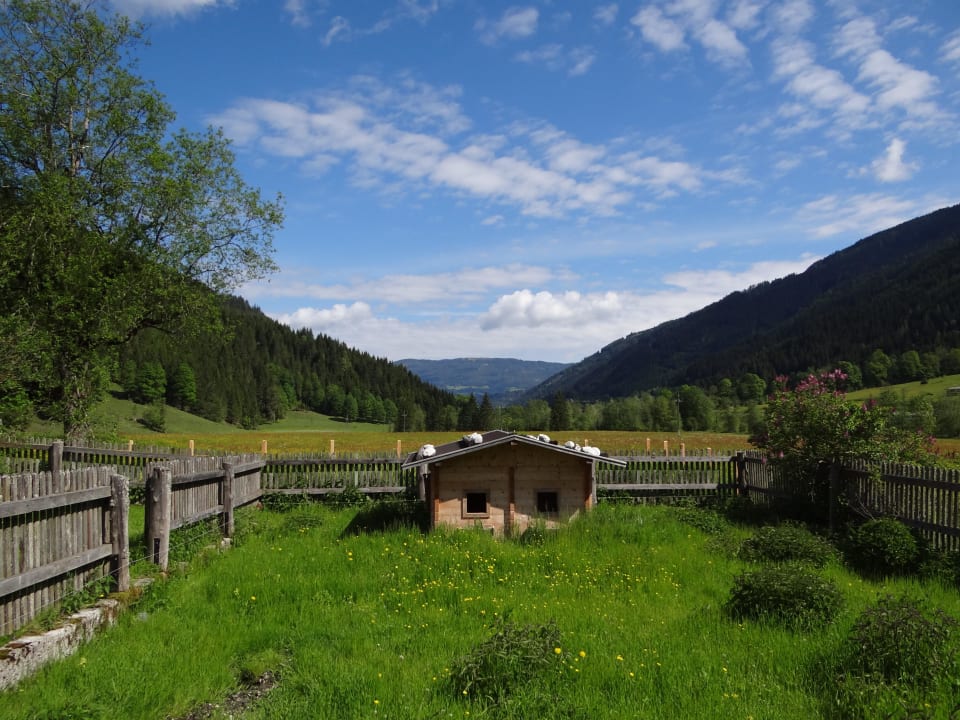 Ziegengehege Biobauernhof Loitzhof
