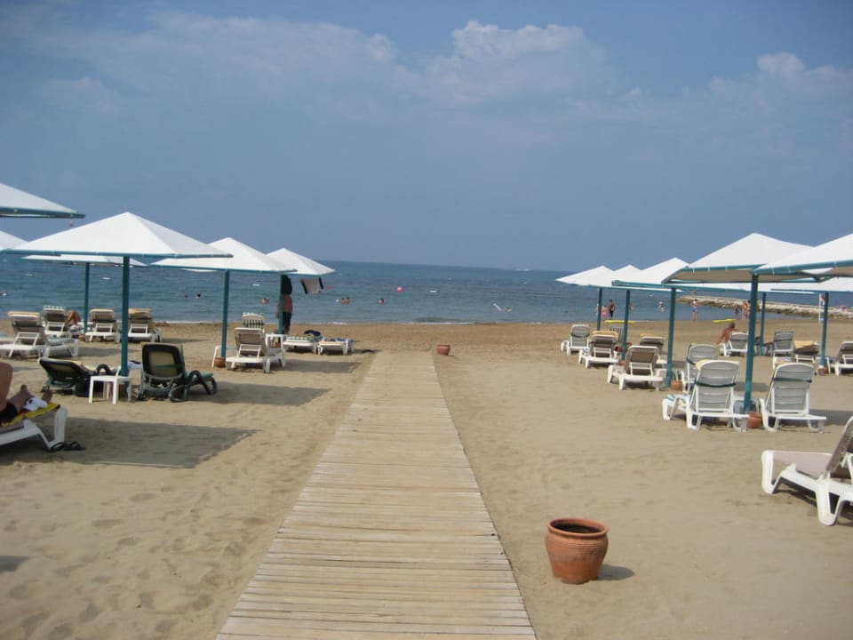 Liegen PALOMA Perissia