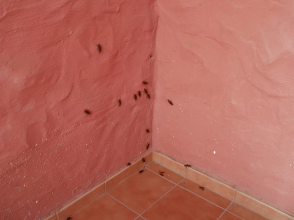 Kakalakenplage Sunny Village