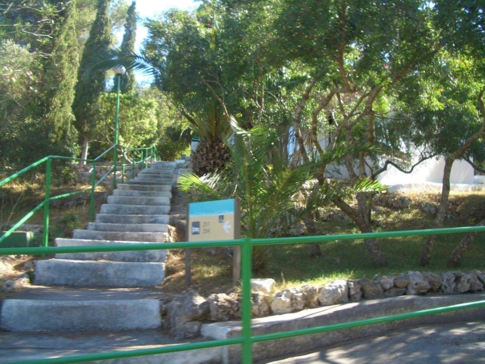 Zu den Zimmern Flipflop Cala Romantica