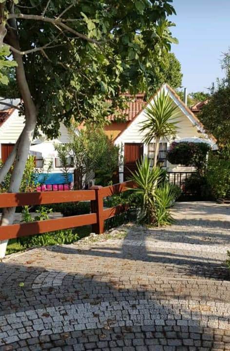 Sonstiges Clover Magic Nova Beach