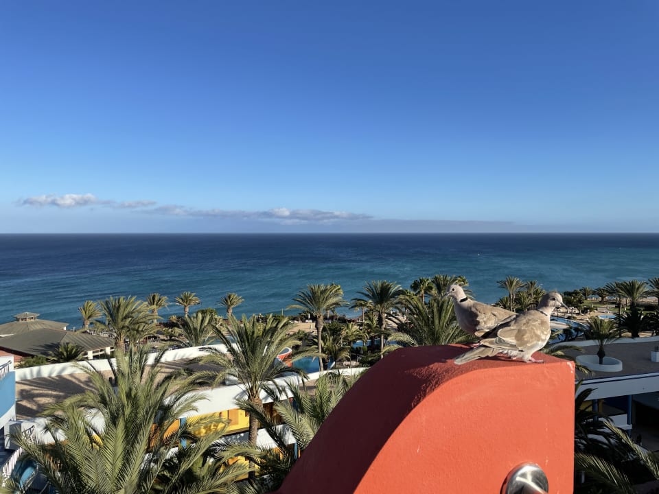 Ausblick R2 Pajara Beach
