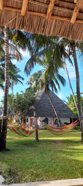 Gartenanlage Hotel Kiwengwa Beach Resort