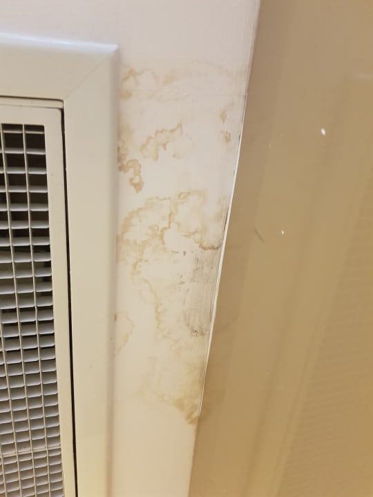 Zimmer Balmy Foresta