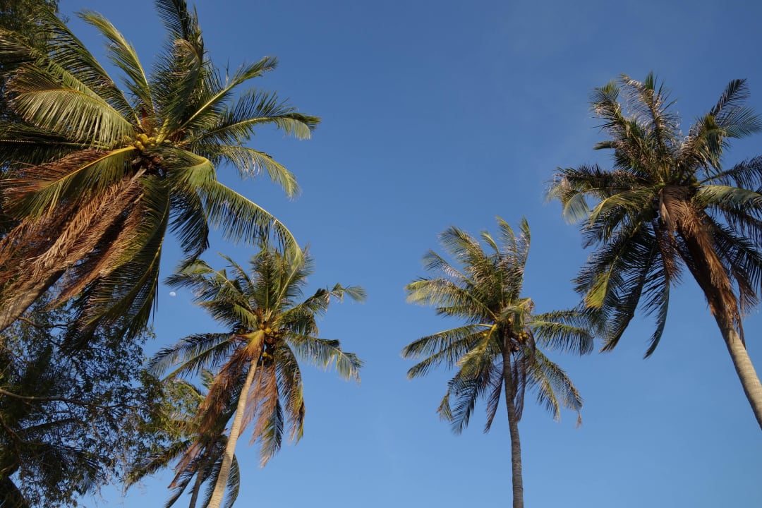 Plaża Hotel Relax Bay Koh Lanta