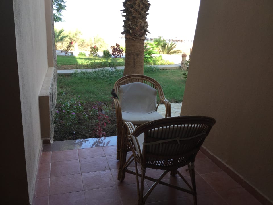 Zimmer Shams Alam Beach Resort