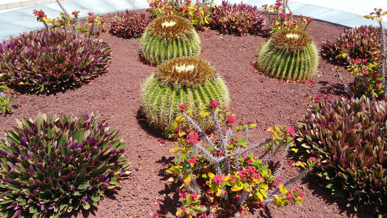 Gartenanlage Hotel Las Costas