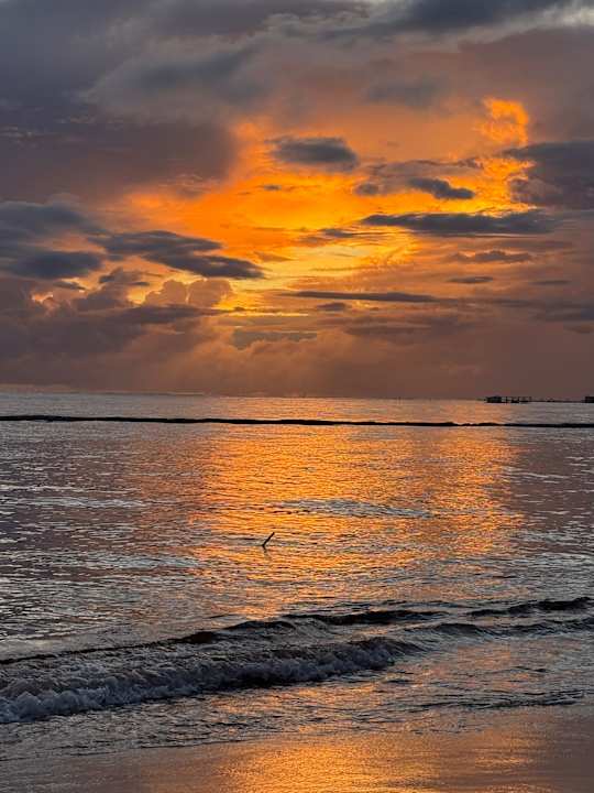 Strand Dreams Flora Resort & Spa - All Inclusive