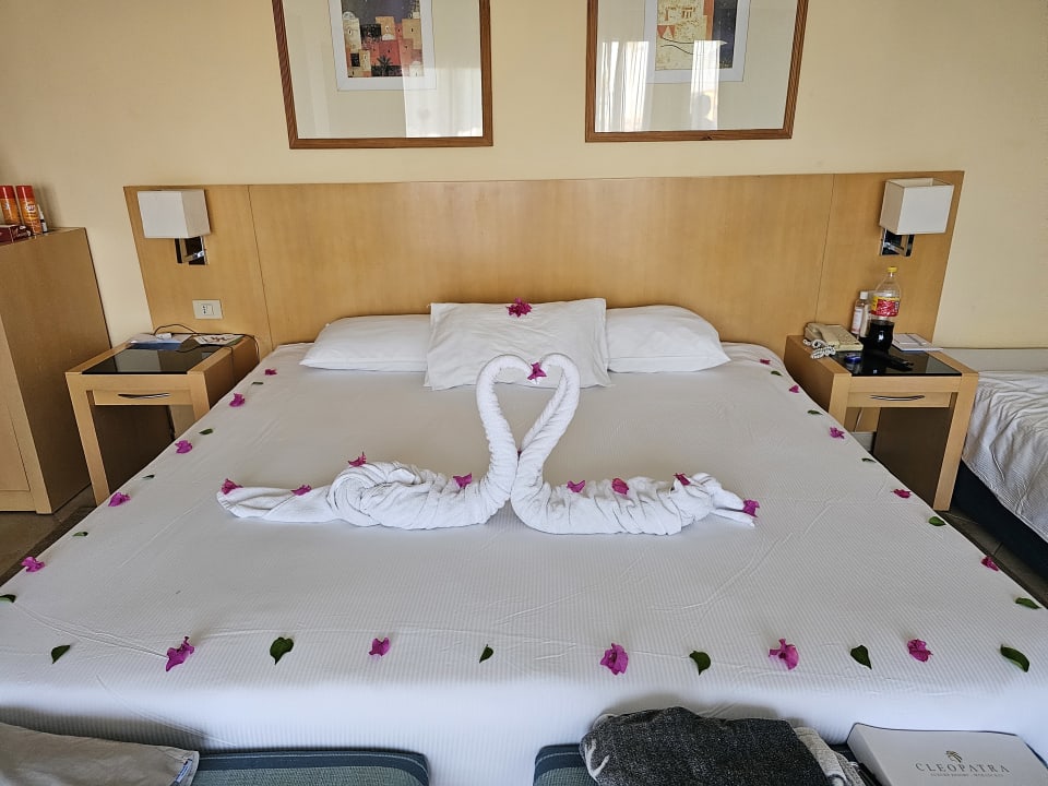 Zimmer Cleopatra Luxury Resort Makadi Bay