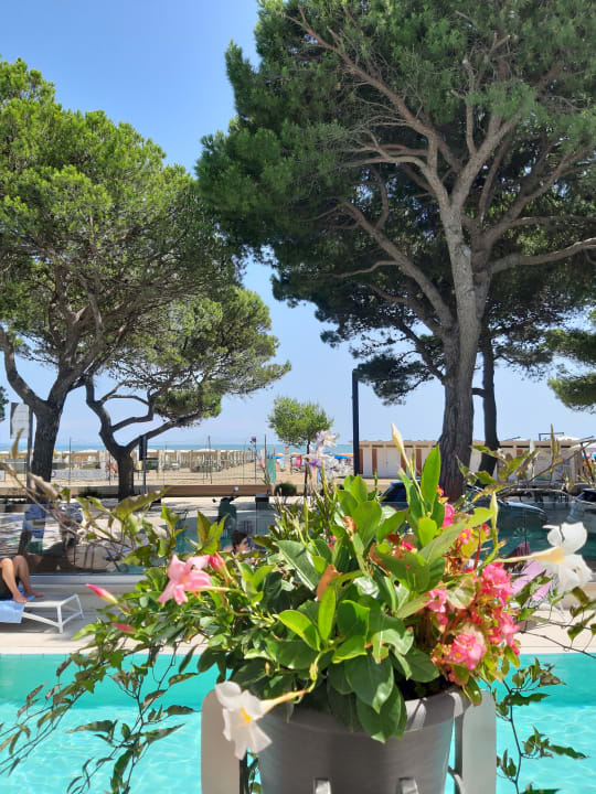 Ausblick Playa Grand Hotel