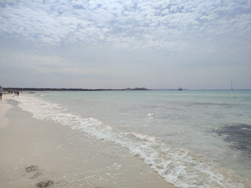 Strand Universal Hotel Marques