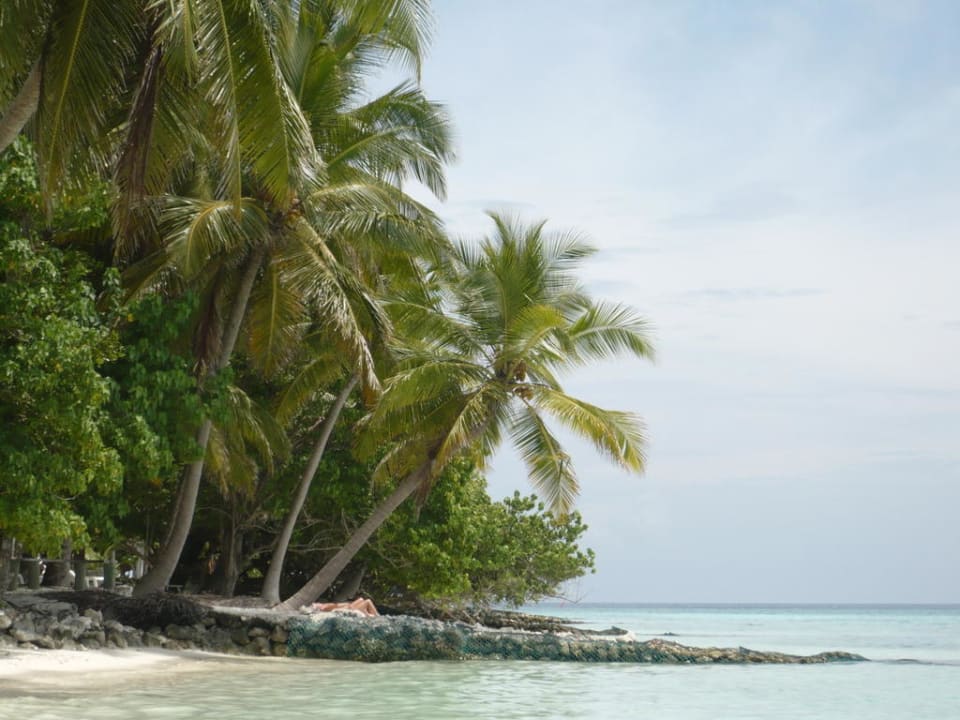 Strand Fihalhohi Maldives