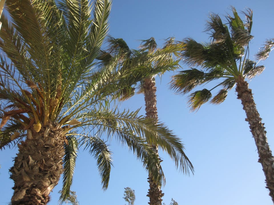 Gegen den tunesischen Himmer Steigenberger Marhaba Thalasso Hammamet
