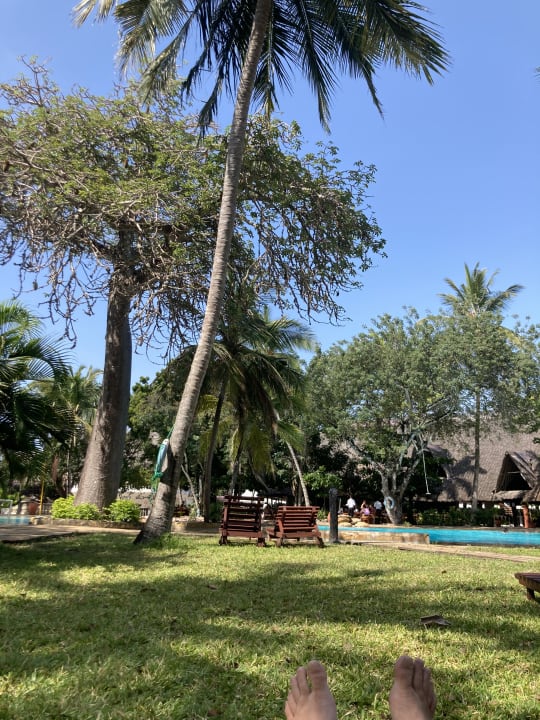 Gartenanlage Hotel Papillon Lagoon Reef