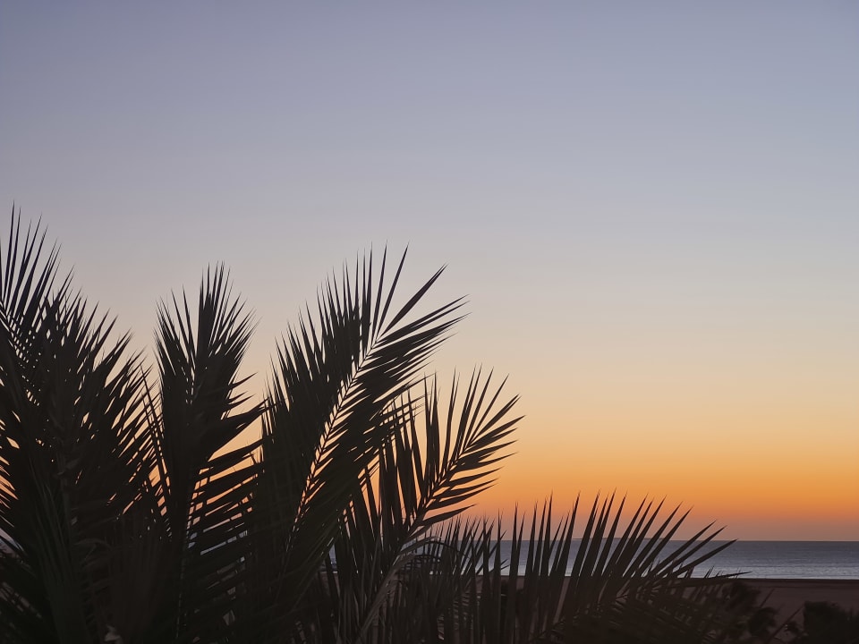 Ausblick Pickalbatros Aqua Blu Resort - Hurghada