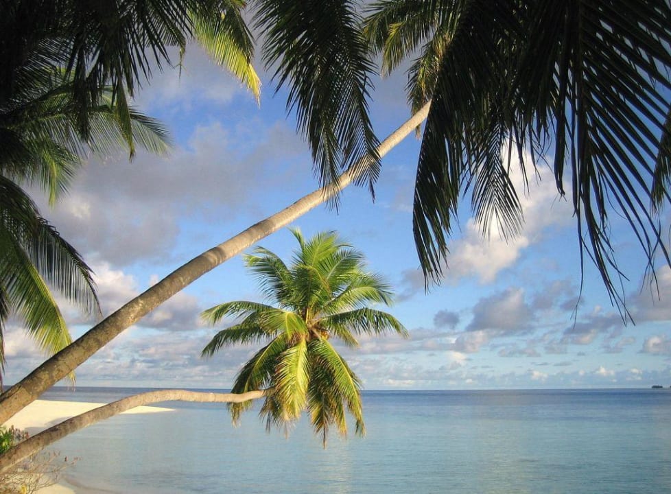 Palmen und Wolken Fihalhohi Maldives