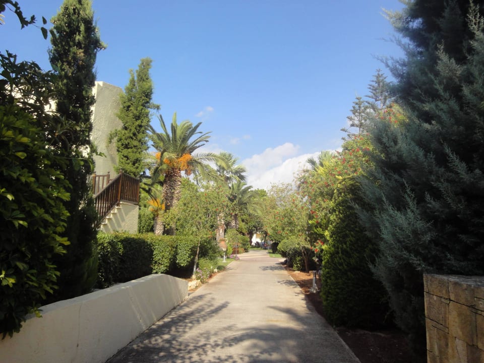 Aussenanlage Phãea Cretan Malia
