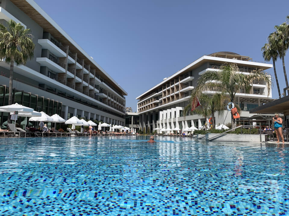 Pool Acanthus Cennet Barut Collection