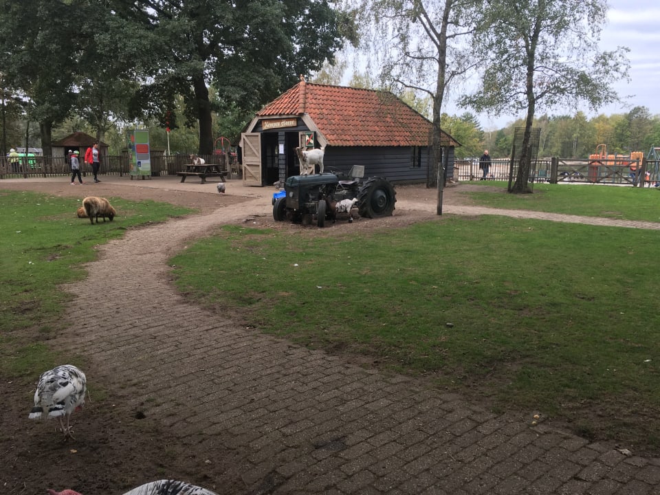 Außenansicht Center Parcs De Kempervennen