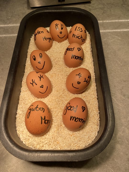 Gastro b'mine Hotel Frankfurt Airport