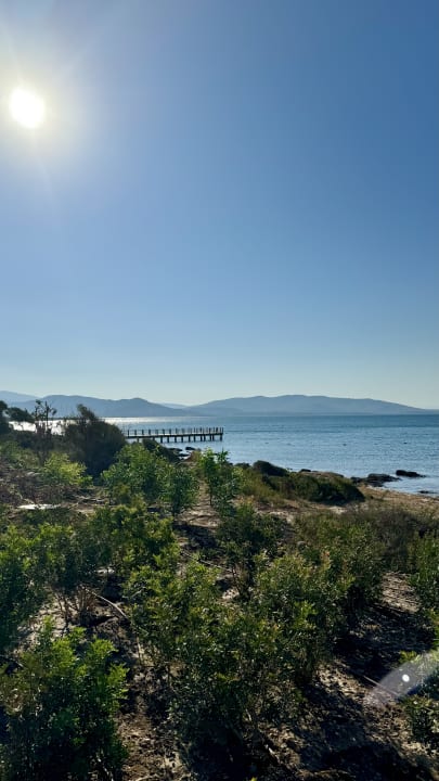 Außenansicht Anda Barut Collection