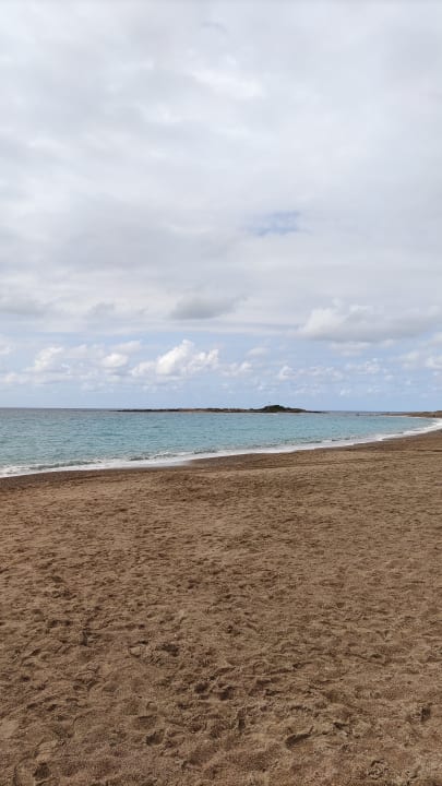 Strand Hotel Gardenia Beach