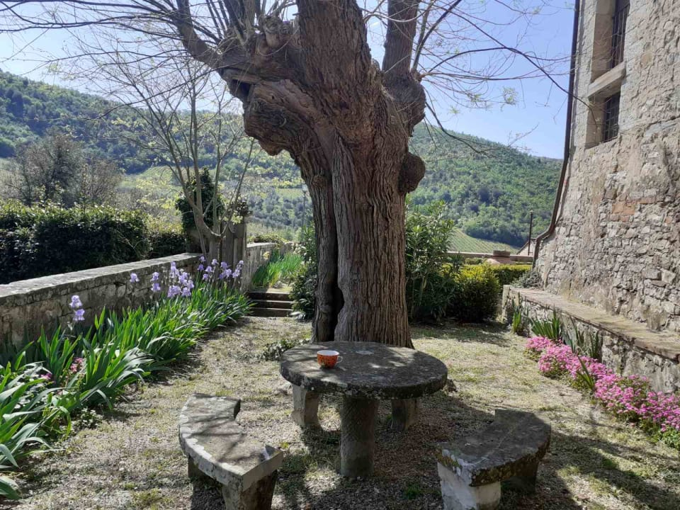 Gartenanlage Agriturismo Fattoria di Castiglionchio