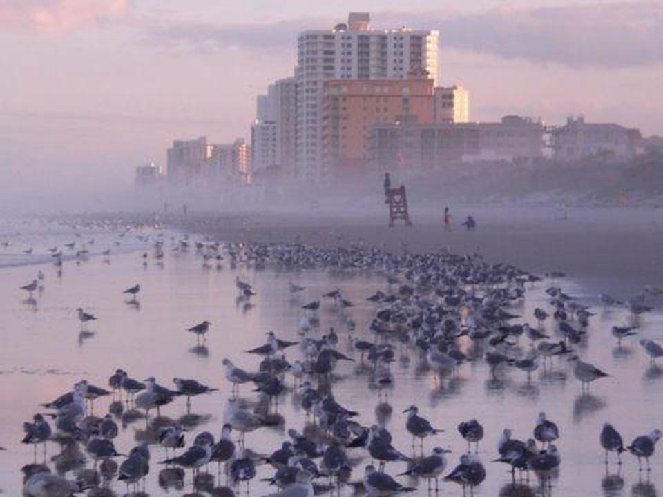 Sonnenuntergang (Bild unbearbeitet) Hotel The Shores Resort & Spa