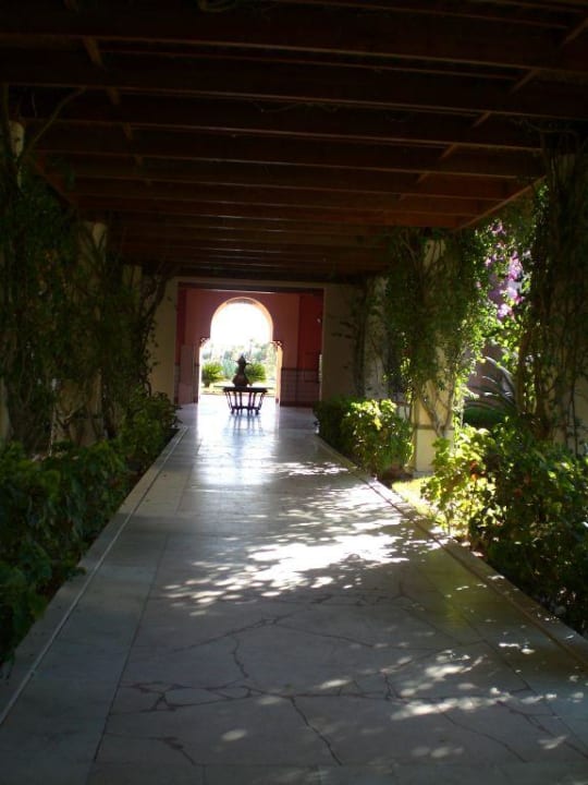 Einer der vielen Wege ROBINSON SOMA BAY